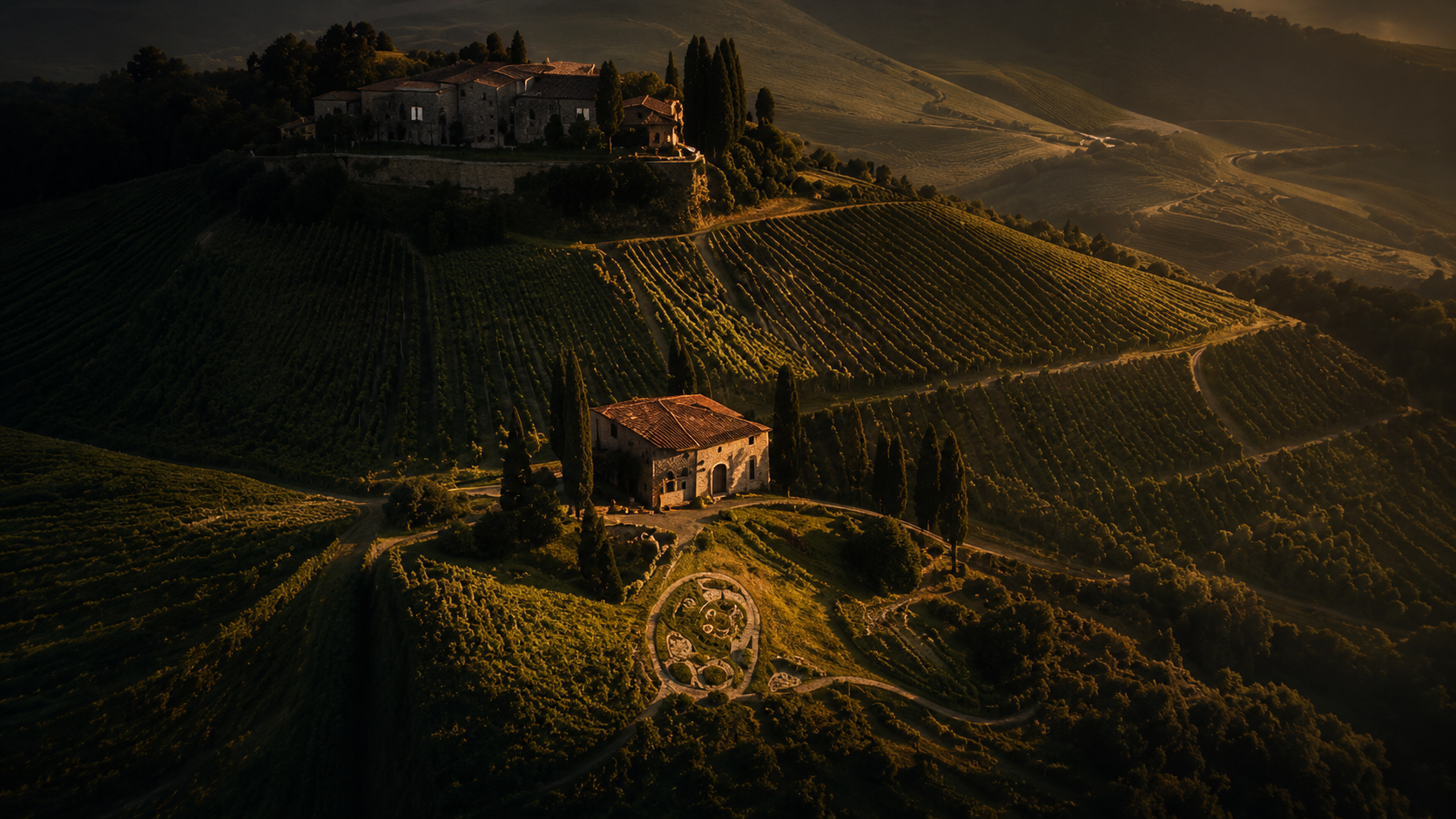 Le colline e i filari al tramonto